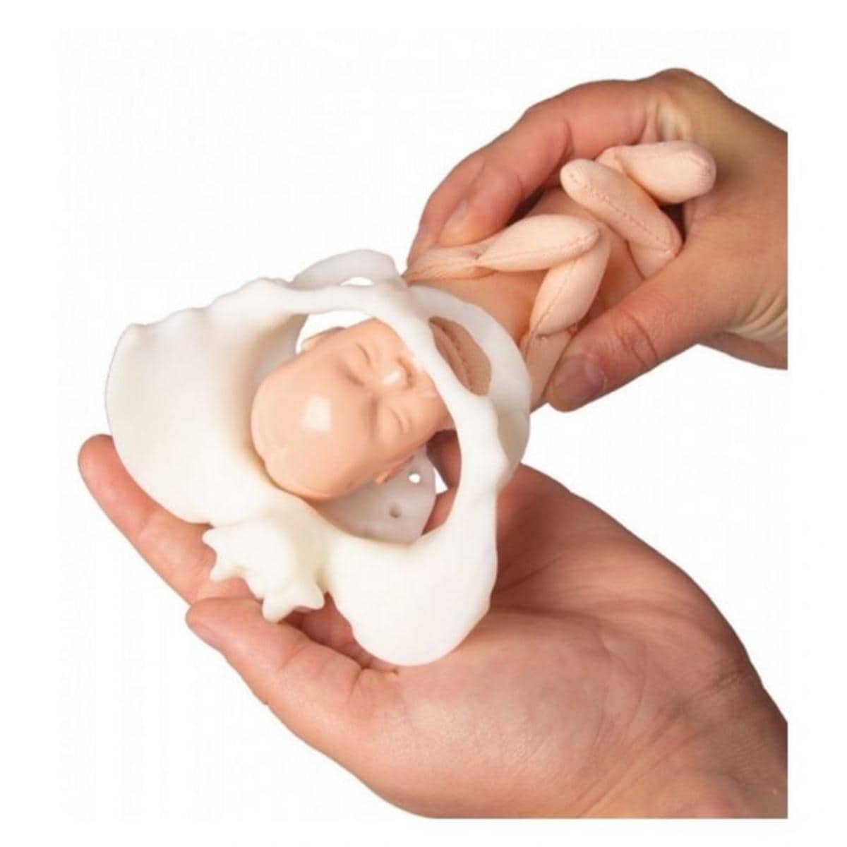 Miniatuur bekken + foetus - per set